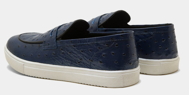 Cactus Blue