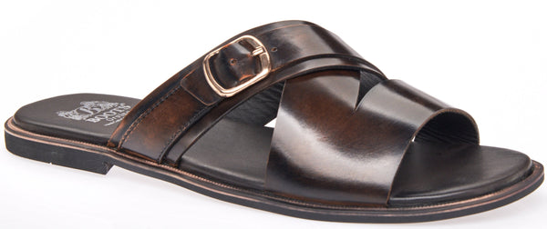 SL-006 PT Brown