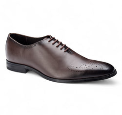RBO 336 PL Brown
