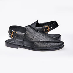 Lizards TBO 28