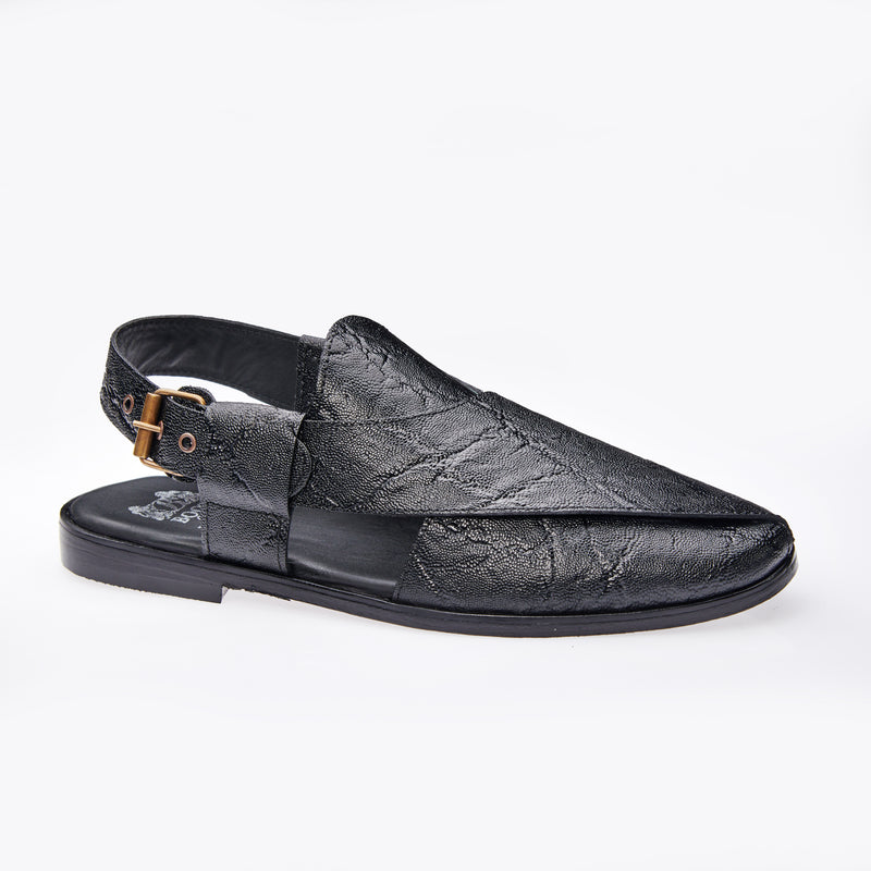 Lizards TBO 28